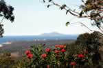 scenicview